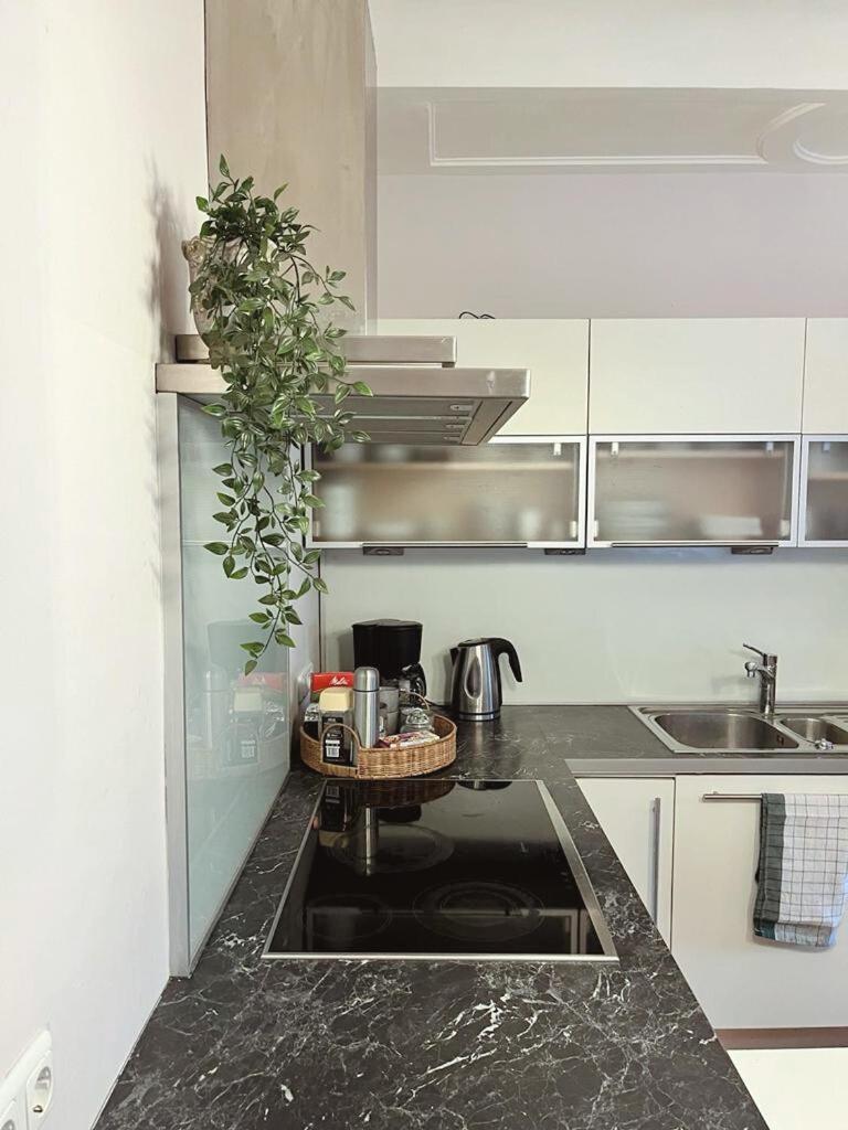ניומרקט אם וואלרסי Taferne In Koestendorf - Ferienwohnung Monteurzimmer מראה חיצוני תמונה